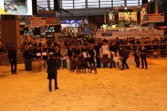 event_remise-des-prix-du-concours-de-jugement-des-animaux-par-les-jeunes-cjaj-espece-caprine_52_734061