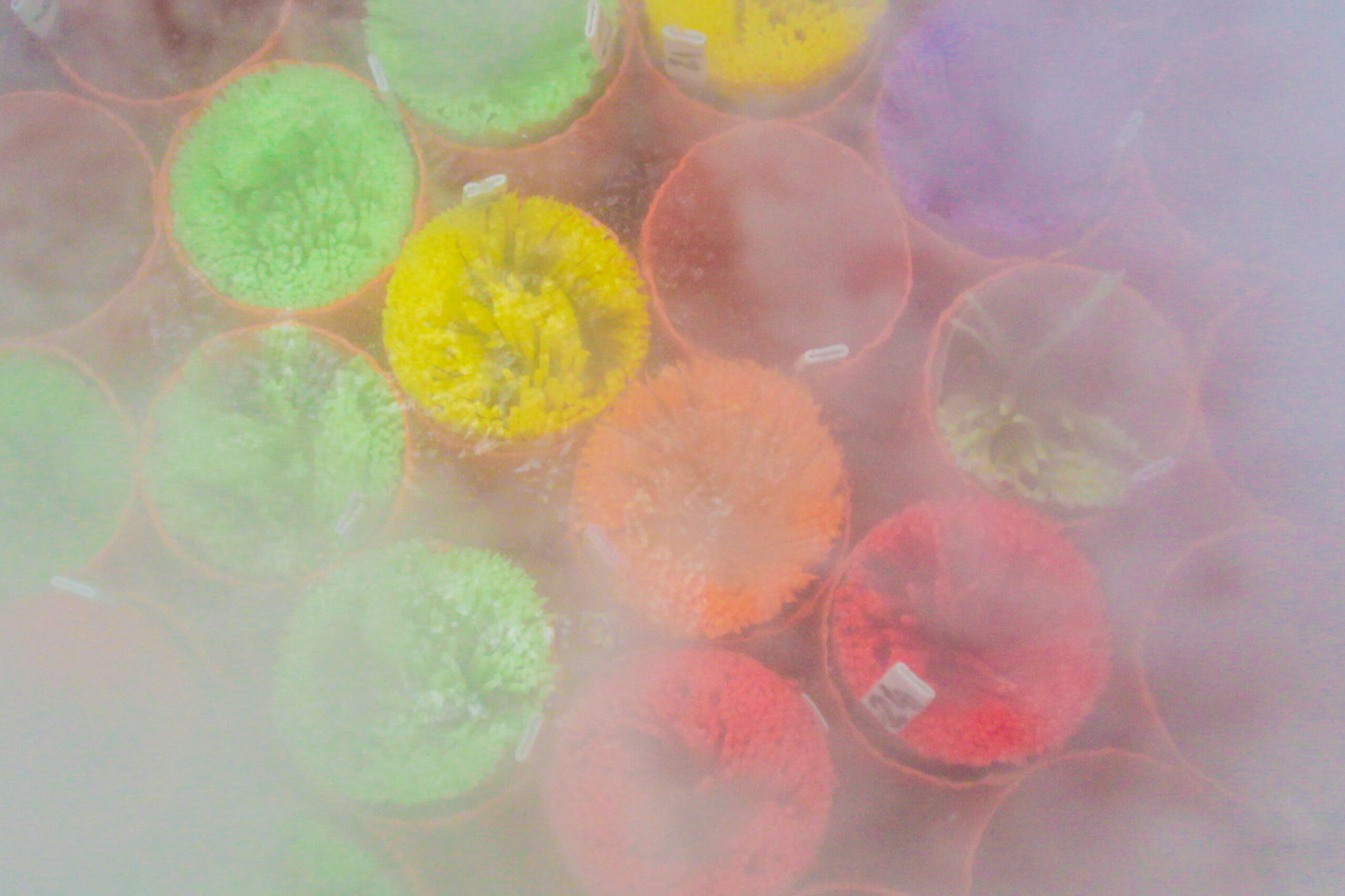 IMG-000-508